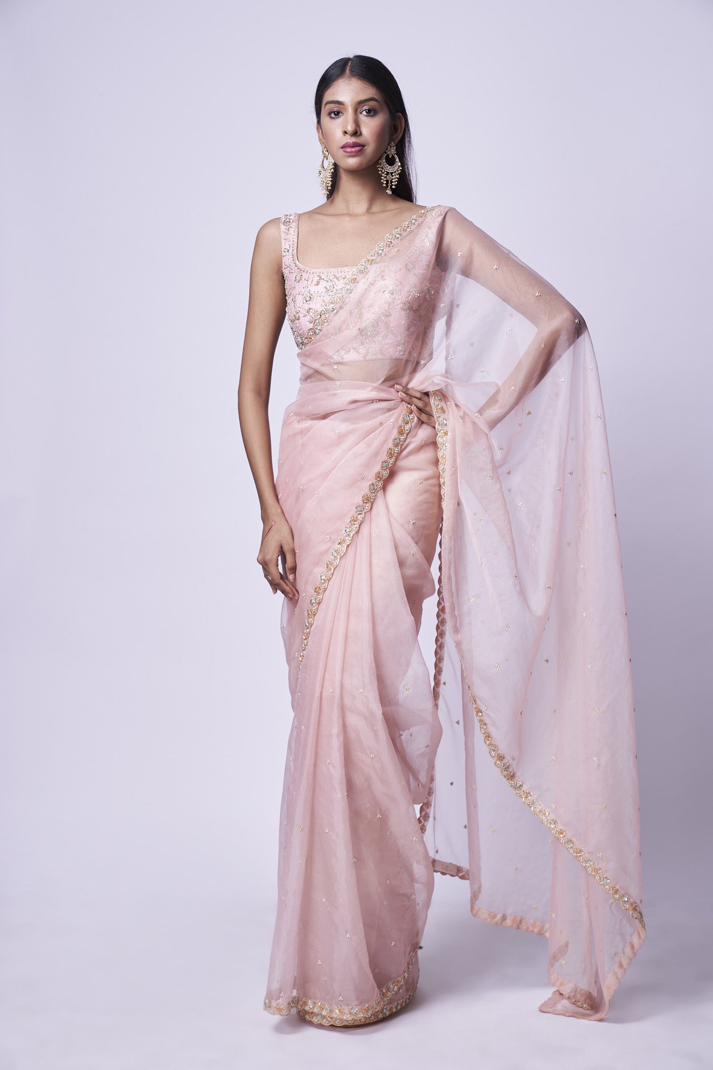Nude pink embroidered saree & Blouse set